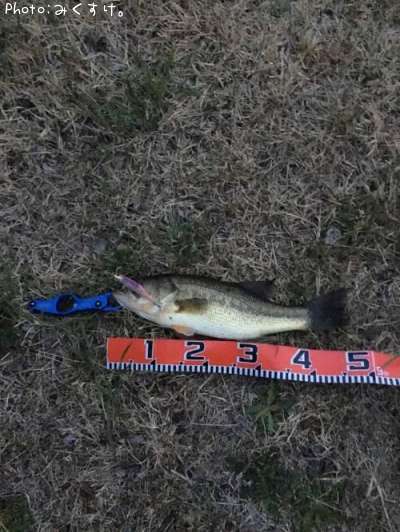 �֥�å��Х�