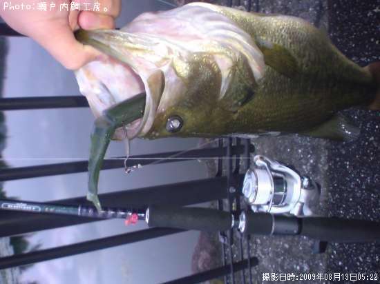 �֥�å��Х�