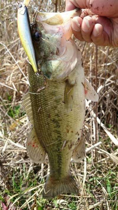 �֥�å��Х�