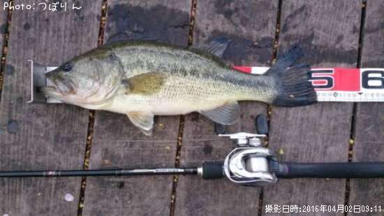 �֥�å��Х�