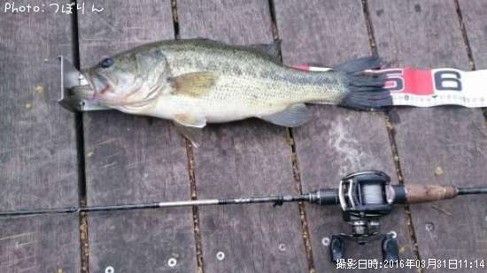 �֥�å��Х�