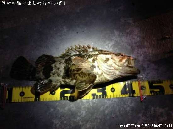 �����Υ���Х�