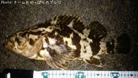 �����Υ���Х�