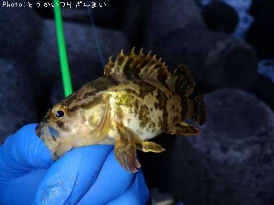 �����Υ���Х�