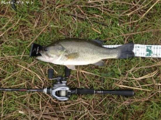 �֥�å��Х�