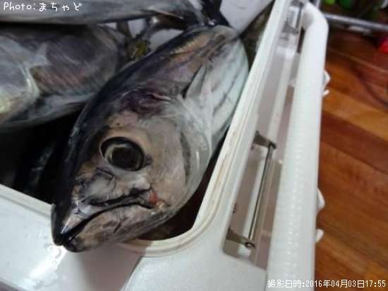 �����塼�ڥ��ĥ���