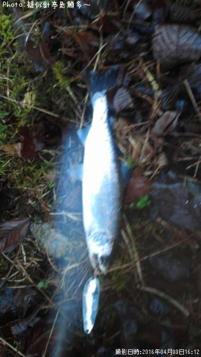 ���ĥ��ޥ�