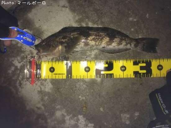 �����ʥ�