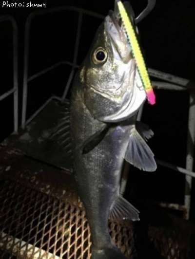 �����Х�