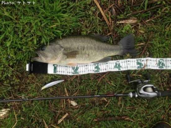 �֥�å��Х�