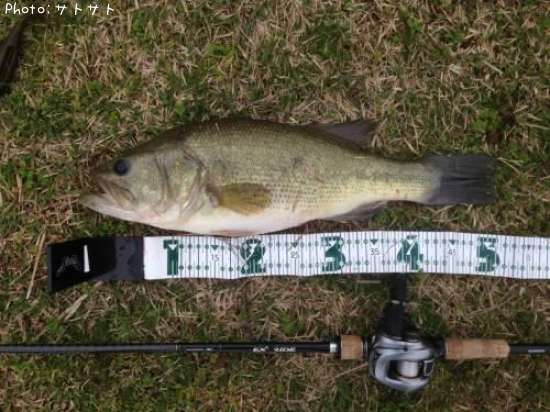 �֥�å��Х�