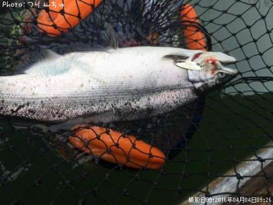 ������ޥ�