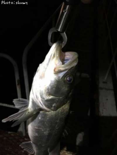 �����Х�����