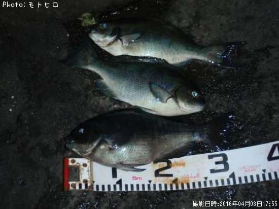 �����᥸��