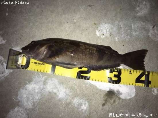 �����ʥ�