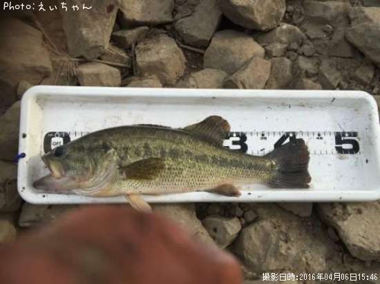 �֥�å��Х�