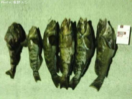 �����ʥ�