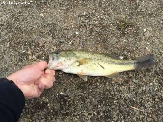 �֥�å��Х�