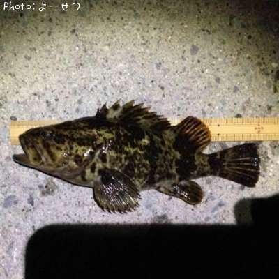 �����Υ���Х�