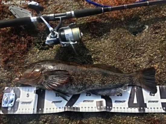 �����ʥ�