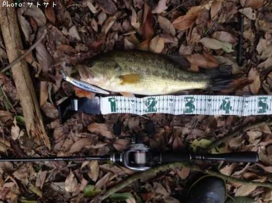 �֥�å��Х�