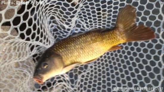 ��