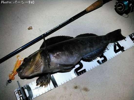 �����ʥ�