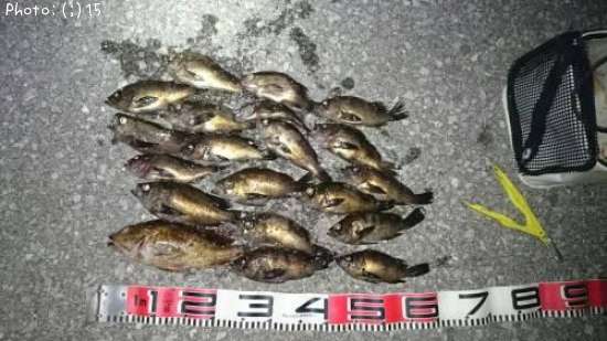 ����������Ф�