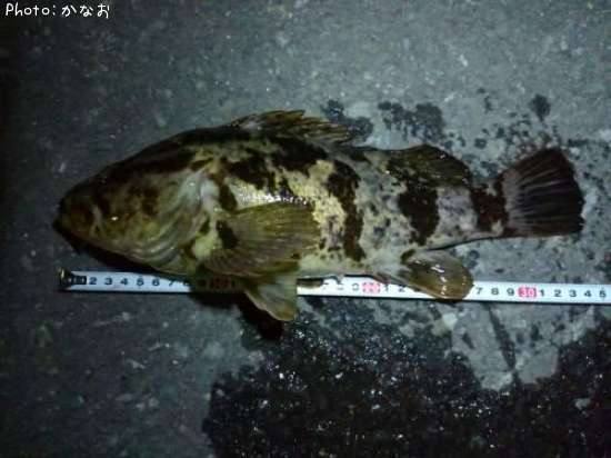 �����Υ���Х�