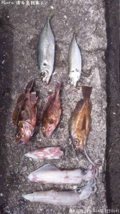 ��������Х롢�����������󥵥�����