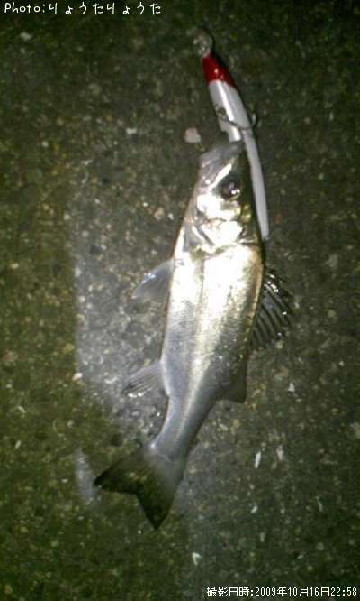 �����Х�