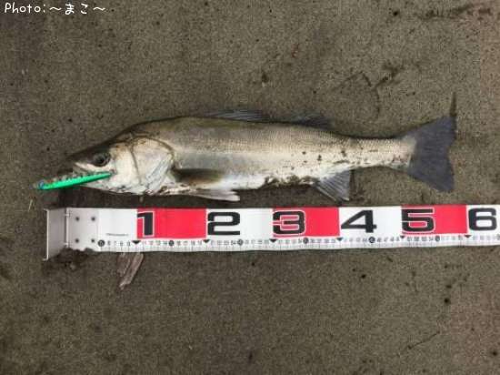 �����ե����Х�