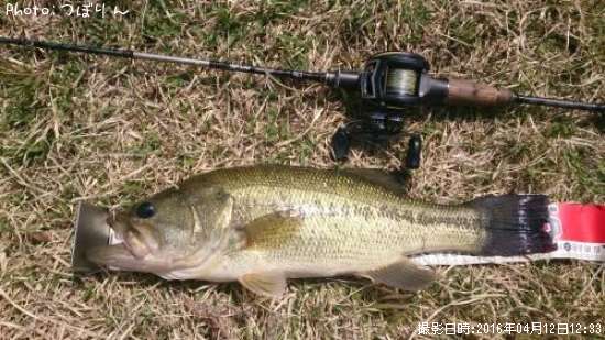 �֥�å��Х�