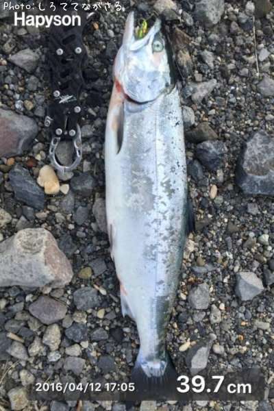 ������ޥ�