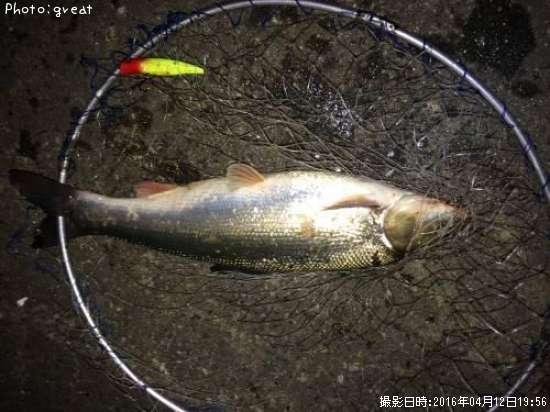 �ޥ륿������