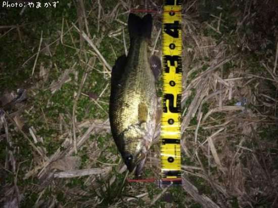 �֥�å��Х�