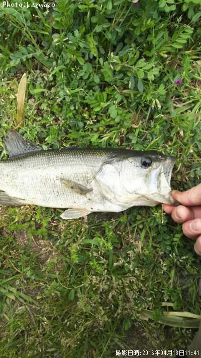 �֥�å��Х�