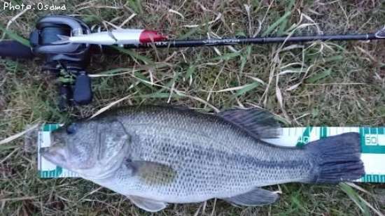 �֥�å��Х�