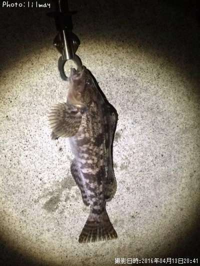 �����ʥ�