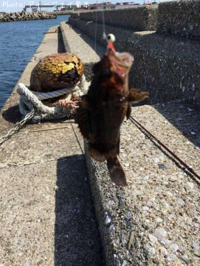 �����Υ���Х�