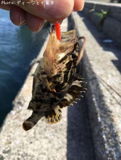 �����Υ���Х�