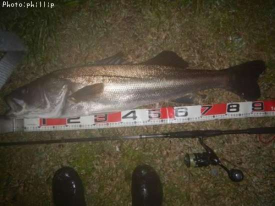 �����Х�