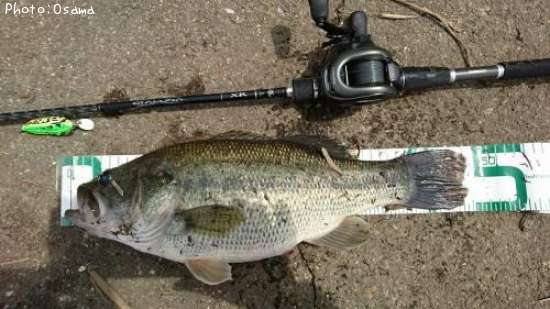 �֥�å��Х�