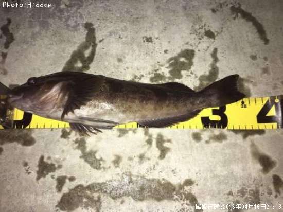 �����ʥ�