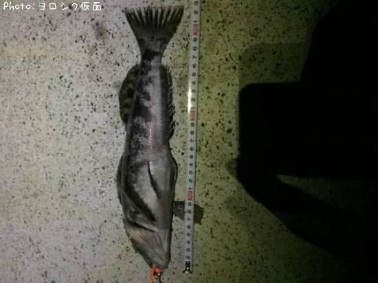 �����ʥ�