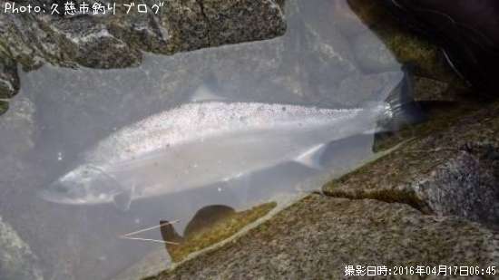 ������ޥ�