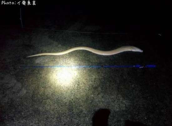 �������ĥ�