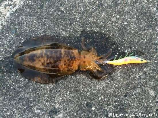 �����ꥤ��