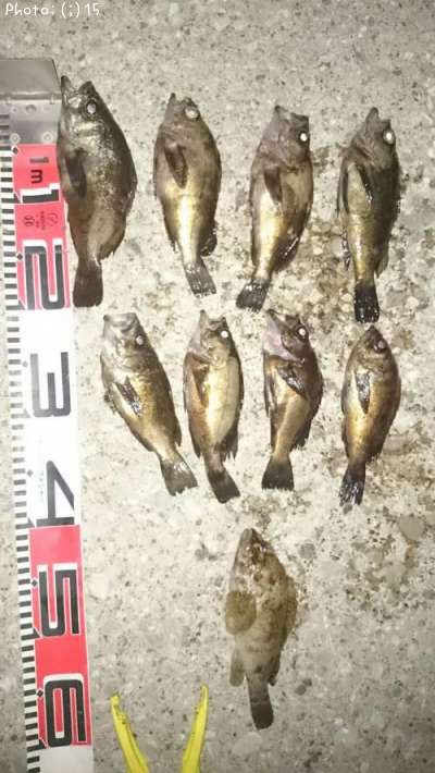 ��Ф롢����