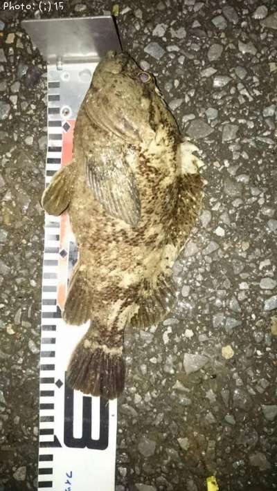 ��������Х�